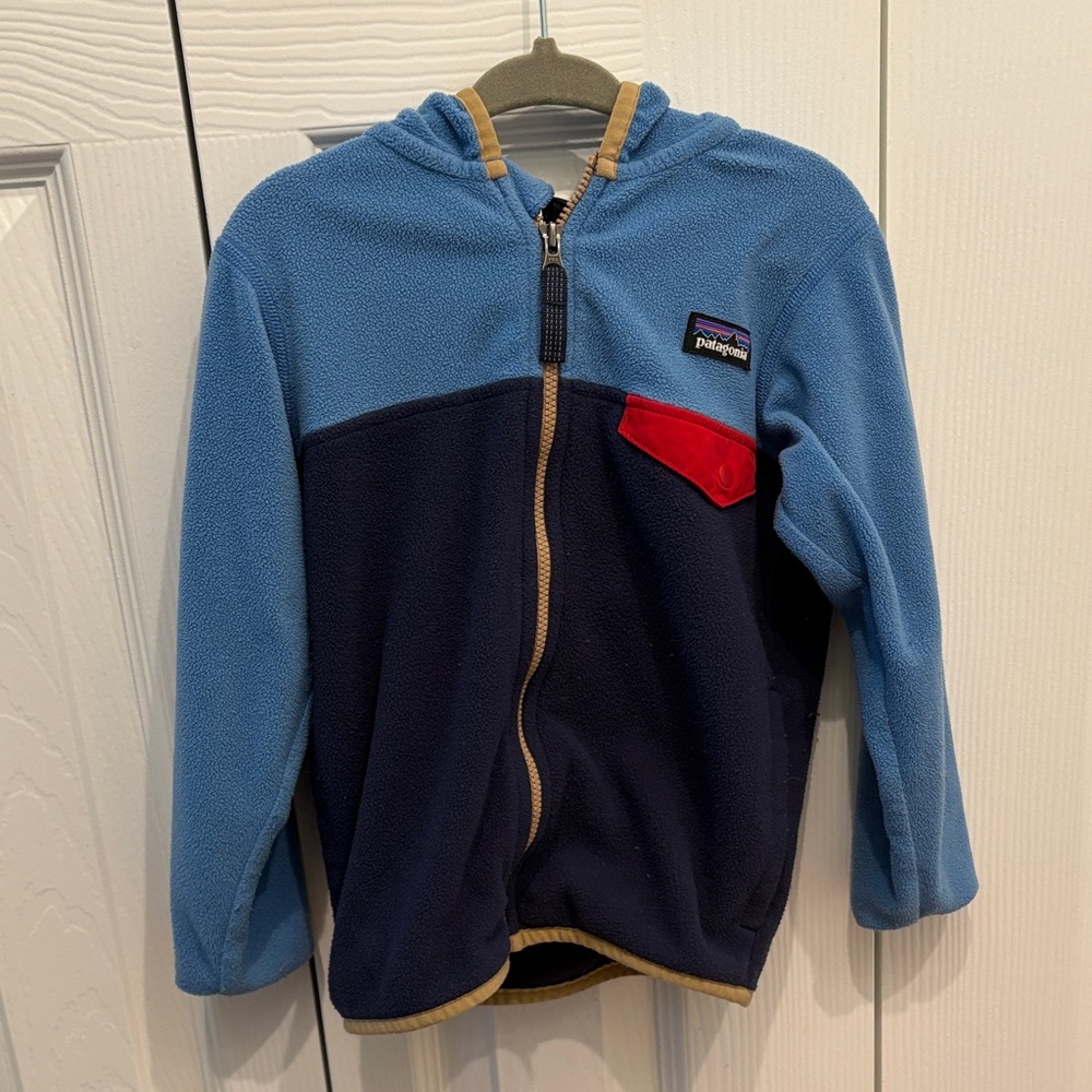Patagonia Kids Two-Tone Fleece Hoodie